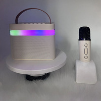 Enceinte sans fil karaoké K13 avec microphone, enceinte de fête, système de karaoké extérieur Ktv
