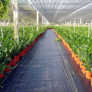 Malla Antihierbas de Polipropileno 100% Ecológica y Resistente, Tejido para Paisajismo, Cubierta para Suelo, Tapete de Jardinería - Product Image 3