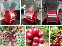 Machine manuelle d'épluchage de pulpe de café Mini 30-100 kg/h Bean Dehusker pour des décortiqueurs