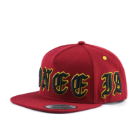 Gorra Deportiva Snapback de 5 Paneles Personalizada al por Mayor, de Alta Calidad, con Visera Plana y Logotipo Bordado en 3D