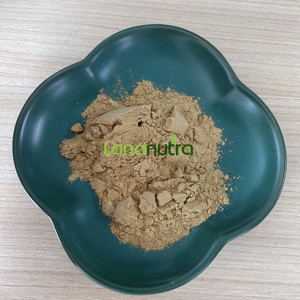 Khô khỉ Đầu Nấm chiết xuất 12 trong 1 Khỉ Đầu Nấm bột - Product Image 4