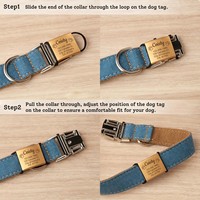 Collier pour chien en silicone de qualité alimentaire de luxe, forme hexagonale, simple, avec logo laser et code QR personnalisable pour animaux de compagnie