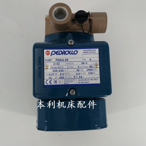 Pompe à eau Pedrollo PQm60 pour machine EDM en fonte grise - Product Image 3
