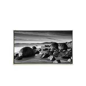 M215HW03 V1Q0 จอแสดงผล LCD ขนาด 21.5 นิ้วแบบดั้งเดิม 1920*1080 FHD หน้าจอ LCD - Product Image 1