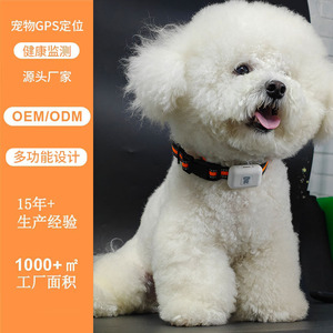 Collier intelligent 4G pour animaux de compagnie, anti-perte, surveillance de la santé, étanche, confortable pour chats et chiens - Product Image 1
