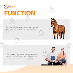 Alat terapi PEMF Equine profesional 24700Gauss 5 Tesla untuk pemulihan lamess tubuh kuda - Product Image 6
