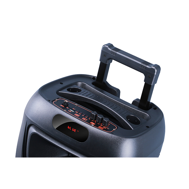 Outdoor Wireless Portable Karaoke Speaker Bass FM Radio LED Light DJ Party BT Loud Active Woofer Trolley Speaker