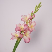 Dekorasi Rumah Pernikahan Biru-ungu Simulasi Sutra Berkualitas Tinggi Desain Tanpa Daun Gladiolus Lembut Batang Tunggal Gaya Nordik Instagram
