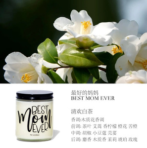 Juegos de Regalo de Velas de Marca Propia, Velas de Cera de Soja para Mujeres, Días Festivos, Velas sin Humo, Decoración del Hogar, Adornos con Fragancia - Product Image 6