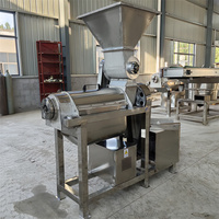 Grote roestvrijstalen fruit- en groentesapcentrifuge, industriële schroefpers voor ananas, citroensap- en residu-scheider