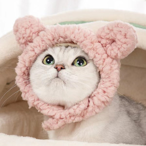 Vente en gros de couvre-chefs pour chats, casquette mignonne avec oreilles d'ours pour chats, chapeau en peluche chaud pour animaux de compagnie - Product Image 2