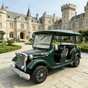 Jingying : Vivez votre <span class=keywords><strong>passion</strong></span> : voitures classiques à vendre qui offrent un mélange unique d'histoire, de style et de performance - Product Image 5