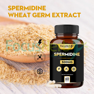 FocusHerb Suplementos de espermidina Extracto de germen de trigo 1% Cápsulas de espermidina - Product Image 3