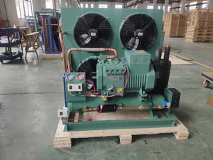 High Quality Refrigeration Compressor Unit Several Fast Freezing Cold Store Condensing Unit Industrial Refrigeration Units