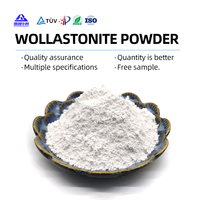 Poudre de Wollastonite, agent de remplissage renforçant, excellente résistance à la flexion pour les thermoplastiques d'ingénierie