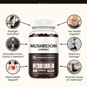 OEM Private Label Mushroom Gummies Nootropic Brain Supplement Cordyceps Mushroom Gummies Supplements