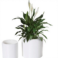 Pot de fleurs cylindrique moderne de 5 à 7 pouces, pots de plantes d'intérieur, drainage robuste, bouchons en caoutchouc amovibles, blanc mat (lot de 2)