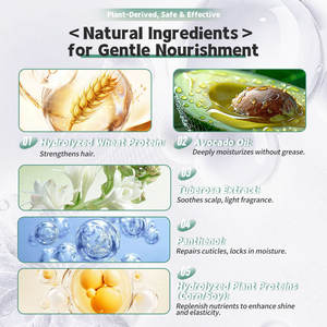 Acondicionador Capilar Nutritivo y Alisante de Grado Profesional BREMOD, Amplificador de Enlaces, Anti-Frizz, Tratamiento de Cuidado Diario - Product Image 5