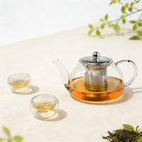 Théière classique en verre borosilicate résistant à la chaleur, en acier inoxydable, écologique, avec infuseur, capacité de 800 ml, poignée en verre
