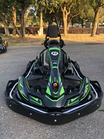 Karts eléctricos para adultos de alta velocidad, equipo de juegos profesional go karts para adultos buggy Go Kart