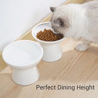 IKITCHEN Gamelles pour chats et chiens pour nourriture et eau, gamelle large et peu profonde pour animaux de compagnie, plat à nourriture pour chat, gamelle en céramique extra large surélevée pour chat
