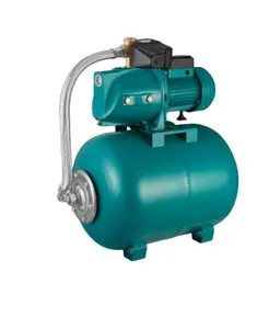 auto jet water pump with 19L 24L pressure tank electric intelligent booster pump china supplier