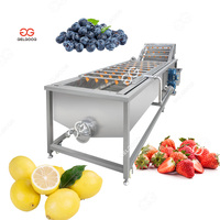 Industriële fruit- en ananasborstel- en wasmachine met lager & motor 380V/220V