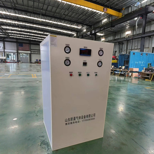 उच्च शुद्धता कॉम्पैक्ट नाइट्रोजन गैस जनरेटर मिनी नाइट्रोजन जनरेटर कैबिनेट छोटे पोर्टेबल नाइट्रोजन जनरेटर पर-साइट गैस संयंत्र - Product Image 4