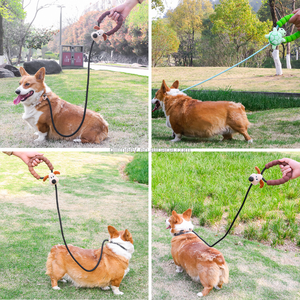 <span class=keywords><strong>Laisse</strong></span> d'entraînement pour <span class=keywords><strong>chien</strong></span> de 1,5 m avec poignée en mousse, <span class=keywords><strong>laisse</strong></span> antidérapante pour <span class=keywords><strong>chien</strong></span>, <span class=keywords><strong>laisse</strong></span> en corde robuste pour chiens de petite, moyenne et grande taille - Product Image 6