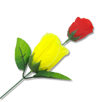 Roses décolorées (rouge change en jaune) Trucs de magie avec les roses Changement de couleur des roses pour la Saint-Valentin Trucs de magie avec les fleurs Jouets amusants