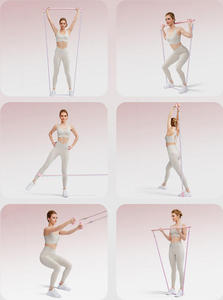 Bandes de Résistance avec Poignées, Ensemble de Bandes d'Exercice, Bandes de Thérapie Physique, Yoga, Pilates, Bandes d'Entraînement, Ancre de Porte, Équipement de Fitness à Domicile - Product Image 3