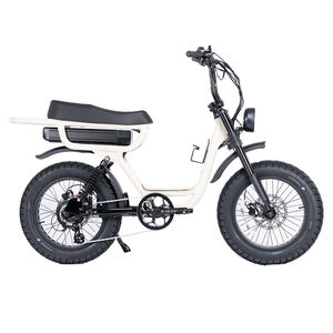 Vélo électrique 750w Fat E Bike 20 pouces avec pneus larges, vélo électrique pas cher Fatboys Cruzr Flightriskk pour la livraison de nourriture - Product Image 6