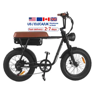 Electric Bicycle Bikes For Women 20" Tire Mountain Electric Bicycle Low Step Electric Bikes Mid Bicycle Shop