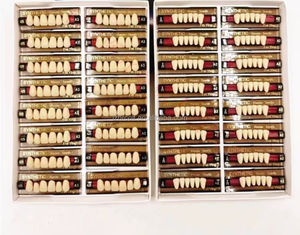 Denti dentali del polimero della resina acrilica dentiera anteriore e posteriore - Product Image 5