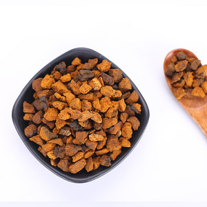 Nấm bạch dương Nấm Linh Chi <span class=keywords><strong>lucidum</strong></span> Hoang Dã Đen Nấm Linh Chi Lỗ Nâu Chaga - Product Image 2