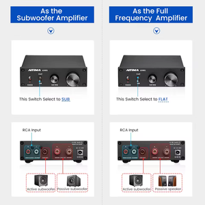 Audio AYM-06 A3001 TPA3255 amplificateur de caisson de basses <span class=keywords><strong>300W</strong></span> HIFI amplificateur de haut-parleur Mono amplificateur de puissance sonore classe D <span class=keywords><strong>ampli</strong></span> Audio domestique - Product Image 4