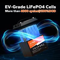 Baterai LiTime 12V 50Ah LiFePO4 640Wh 50A BMS 4000+ Siklus Ringan untuk RV Marine Fish Finder Grosir