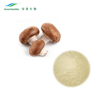 Acheter Champignons Shiitake Champignons Shiitake 1kg Prix Extrait de Champignon Shiitake
