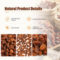 Premium natuurlijke gedroogde duindoornbessen voor kruidenthee en de verwerking van gezonde superfood-sappen
