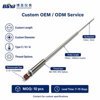 Industrial Furnace Thermocouple C Type WRe 0-1900°C Temperature Probe Sensor for High Temp Kiln Oven
