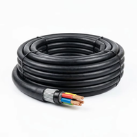 Kabel Daya Berlapis Baja Kawat Baja PVC Tembaga 4 Inti 50mm2 VV32 0.6/1kV Harga Pabrik