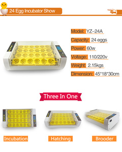 Incubateur à œufs de poulet automatique <span class=keywords><strong>mini</strong></span> <span class=keywords><strong>24</strong></span> œufs, homologué CE, entièrement automatique - Product Image 3