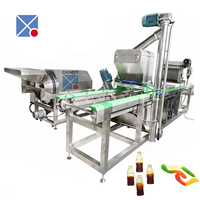 Ligne de production de bonbons gommeux Starch Mogul Line Gummy Machine