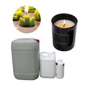 Fenhao, venta al por mayor, aceite de fragancia de perfume de higo de Cactus de alta concentración para hacer velas