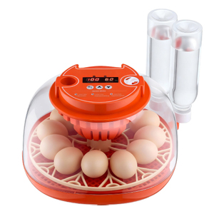 Incubateur automatique pour 12 œufs avec contrôle de la température et de l'humidité, fenêtre de visualisation à 360°, éclairage LED, pour l'éclosion de volailles - Entrepôt USA - Product Image 1