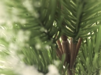 Plante artificielle en plastique vert luxuriant avec but de décoration de salon