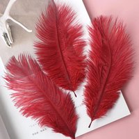 Vente en gros de 15 à 20cm plumes d'autruche duveteuses teintes motif brut pour mariage carnaval vase fête événement décoration