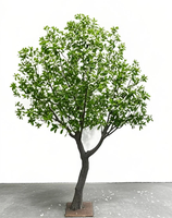 Mini olivier en pot en gros, véritable olivier nain pour jardin, patio, centre de table de mariage, bonsaï, arbre artificiel