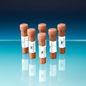 Anticuerpo Monoclonal de Ratón a Alfa Actina Muscular Lisa 50ul Marca Promabio Modelo 30162 -20 Almacenamiento con Valididad de 12 Meses - Product Image 5