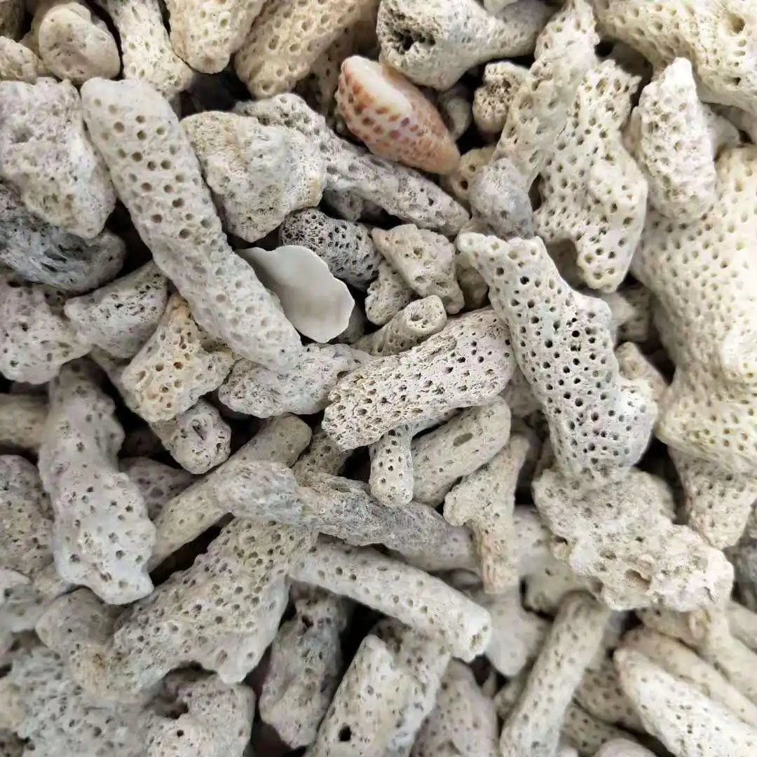 Coral Sand Aquarium Filter für Aquarium Aquarium